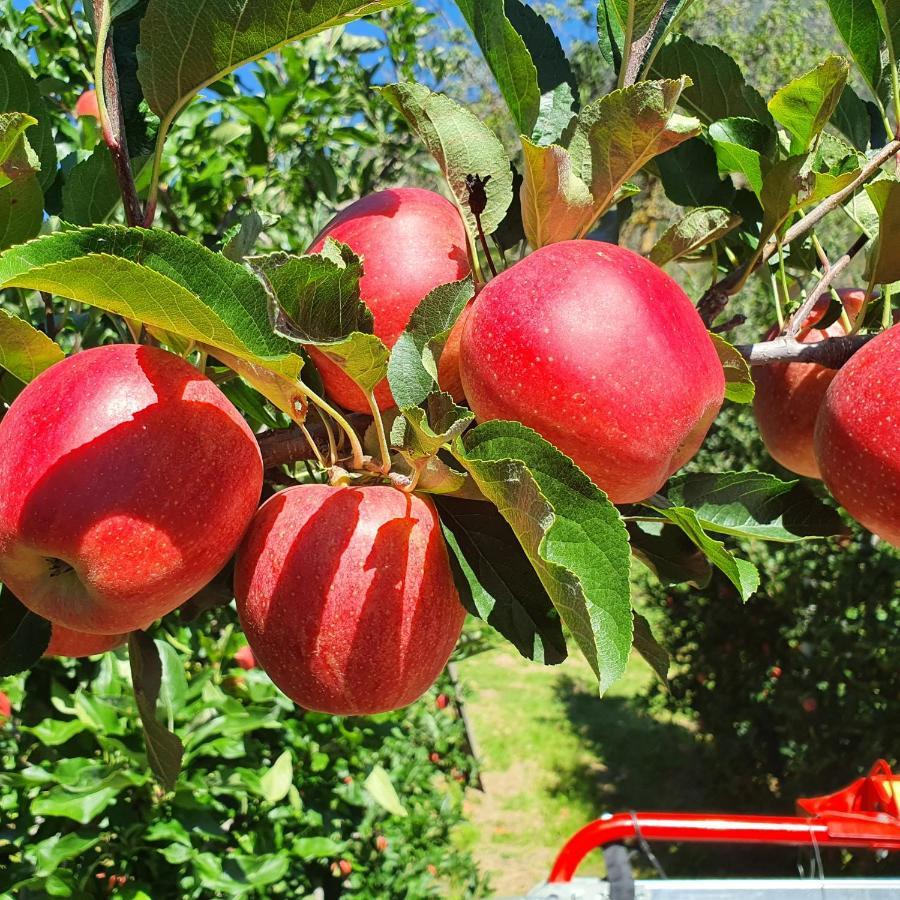 Mareinhof Vetzan-Apples,Apartment&More Silandro Exterior photo